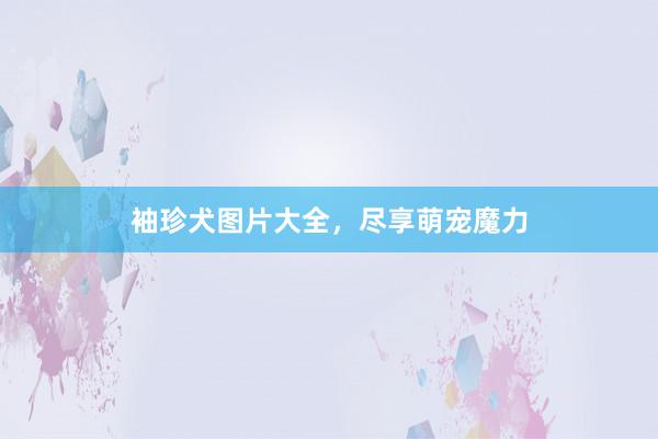 袖珍犬图片大全，尽享萌宠魔力