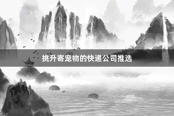 挑升寄宠物的快递公司推选